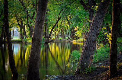 Bonnie Wenk Park