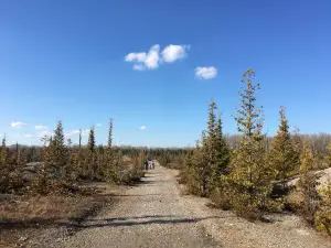 Rockport State Recreation Area