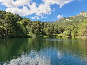Cuenca Alta del Manzanares Regional Park