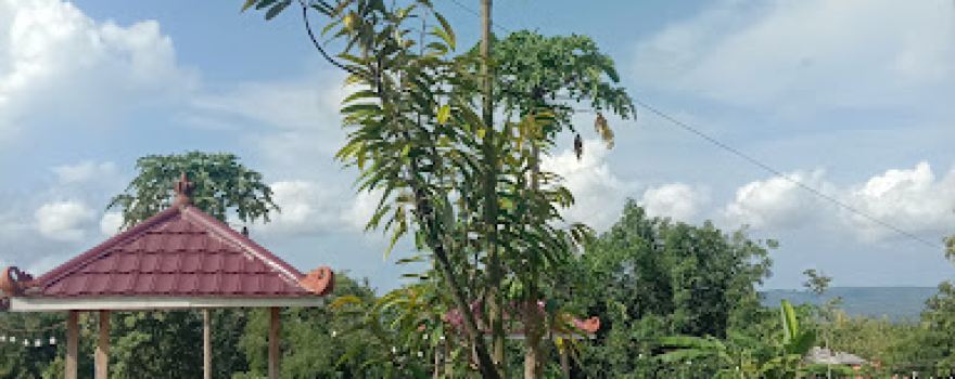 Bawafie farm