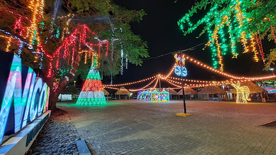 Recaredo Briceño Arauz, Nicoya Central Park.