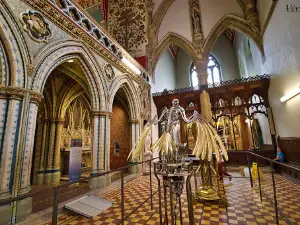 Ushaw: Historic House, Chapels & Gardens