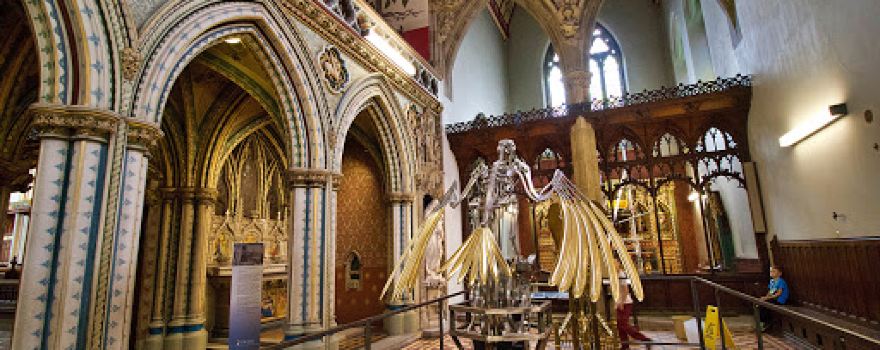 Ushaw: Historic House, Chapels & Gardens