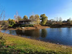 Zghurivka Dendropark 2