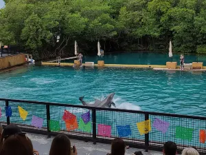 Miami Seaquarium