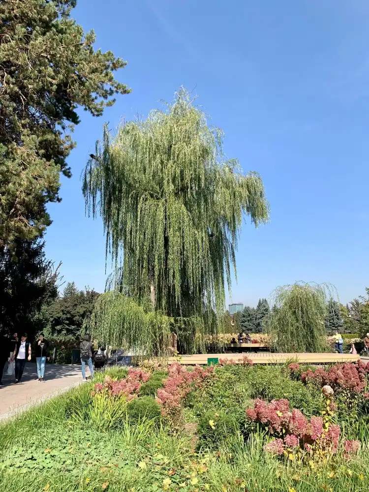 Hotels near Botanical garden