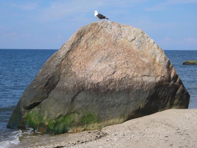 Wildwood State Park