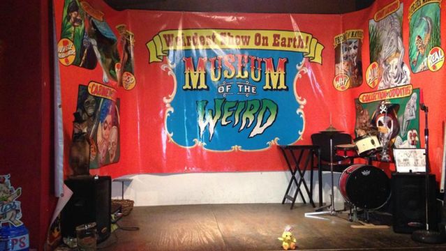 Museum of the Weird