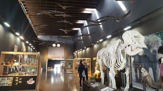 Yagiyama Zoological Park