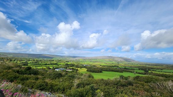 Aillwee Burren Experience