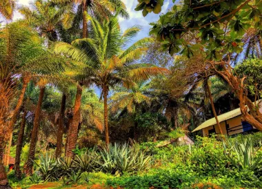 Conakry