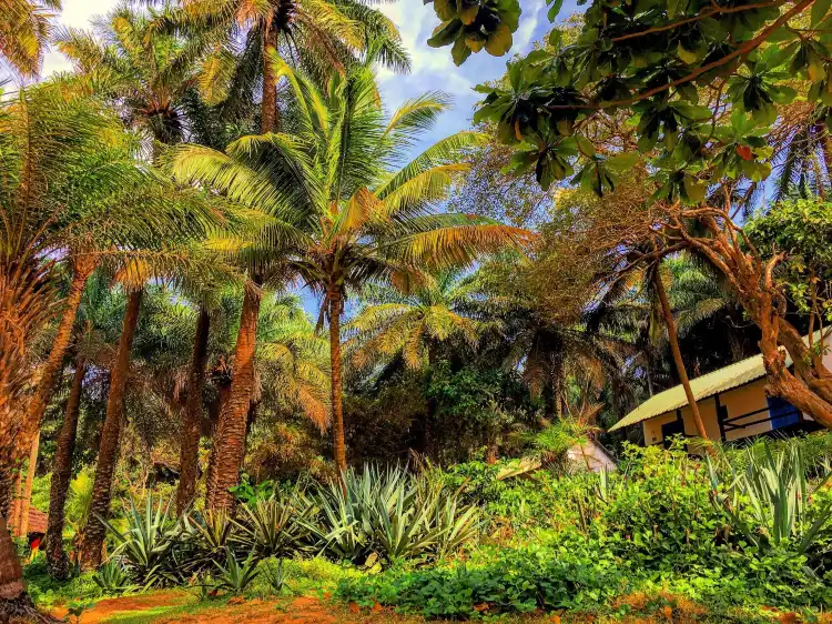 Conakry