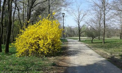 Parco del Cormor
