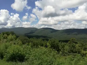 Talladega National Forest