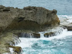 La Poza Del Obizpo