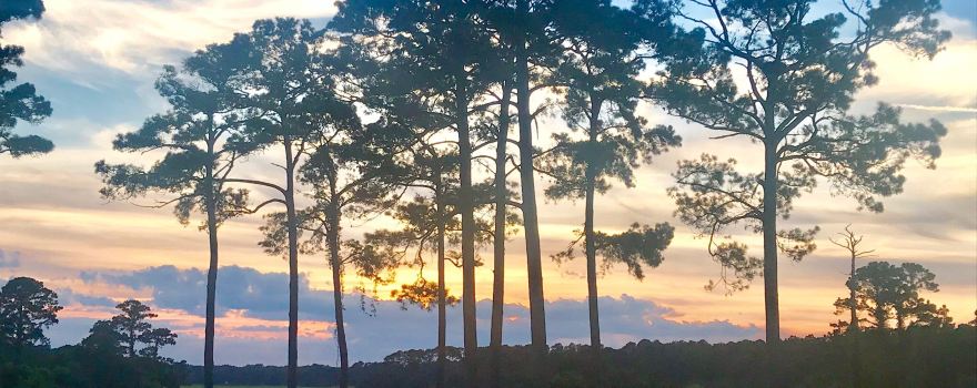 Oyster Bay Golf Links‎