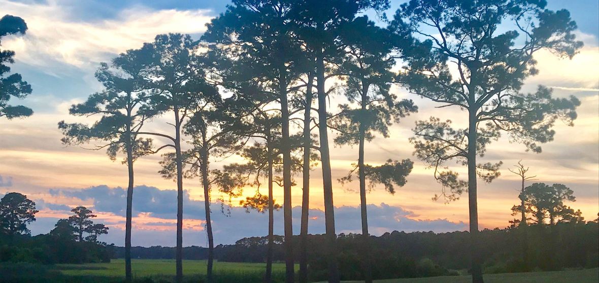 Sunset Beach Travel Guide 2026: Top Attractions, Things to do ...