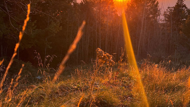 Mt. Lemmon SkyCenter Observatory