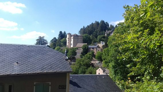 Micropolis la cite des insectes