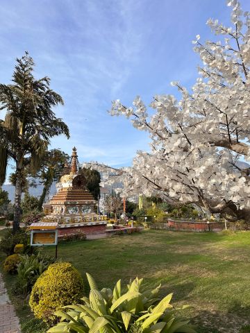 Kopan Monastery