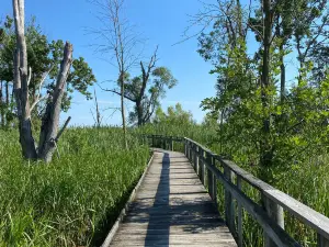 Maumee Bay State Park