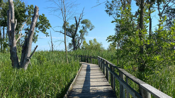 Maumee Bay State Park