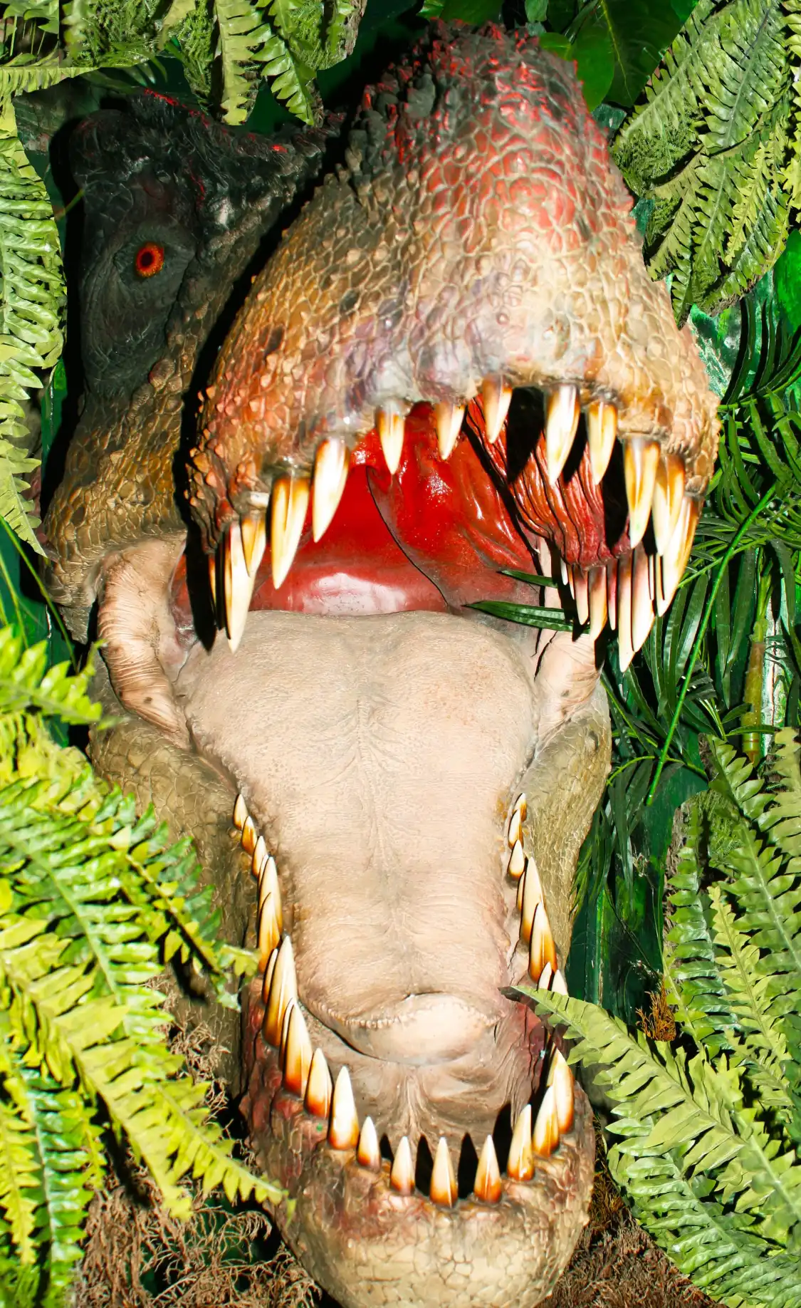 Torquays Dinosaur World附近的飯店