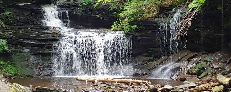 Ricketts Glen State Park