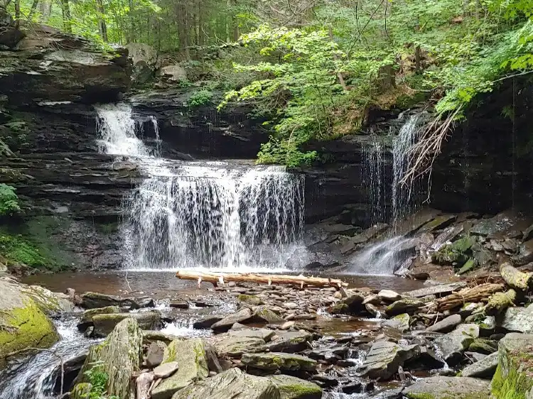 Hotels in der Nähe von Ricketts Glen State Park