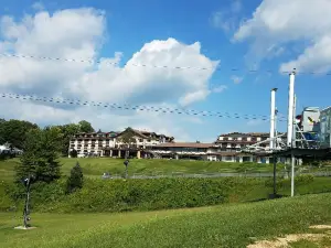 Chestnut Mountain Resort