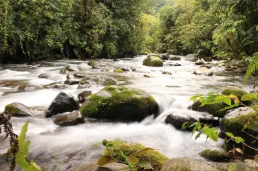 Metropolitan District of Quito