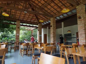Jardim Botanico Plantarum