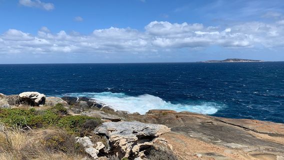 Blowholes