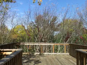 Sarett Nature Center