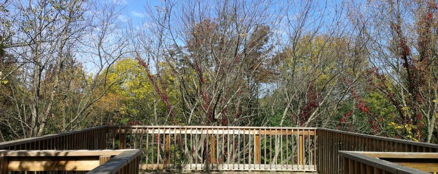 Sarett Nature Center