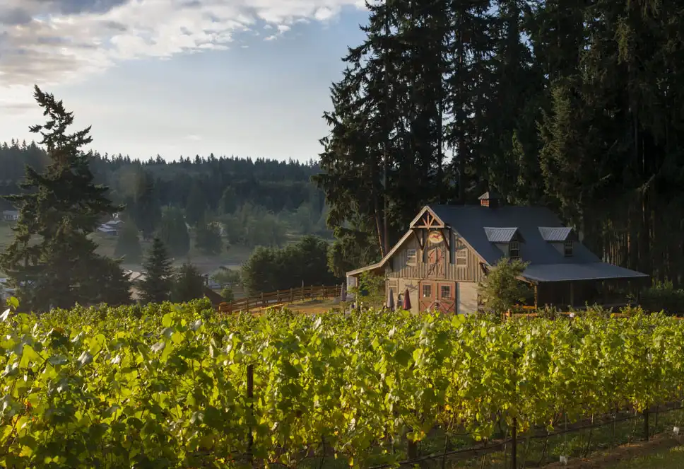Hotels near Spoiled Dog Winery