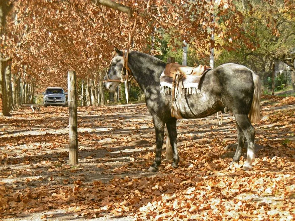 2_Balneario Las Jarillas