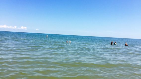 バックロー・ビーチ・アンド・パーク