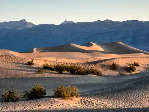Mesquite Flat Sand Dunes