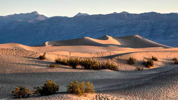 Mesquite Flat Sand Dunes