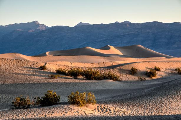 Mesquite Flat Sand Dunes