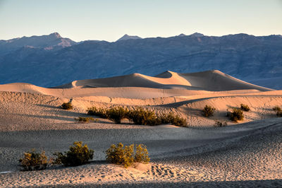 Mesquite Flat Sand Dunes