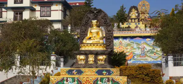 Hotels in Nagarjun