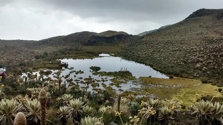 Hotels in Pacho