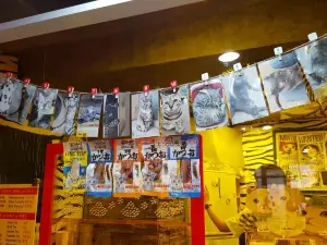 Cat Cafe Goyangi Noriteo