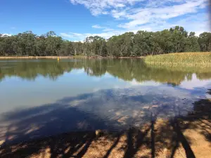 ゴールドフィールズ貯水池