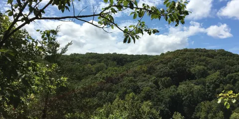 Rockwoods Reservation