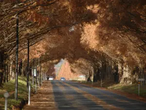 Takashima City Agricultural Park Makino Pick land