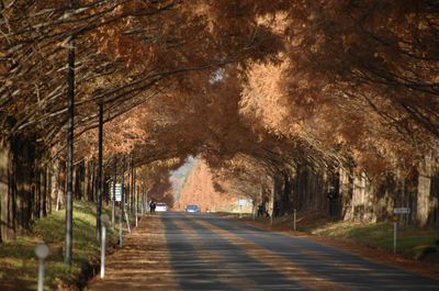 Takashima City Agricultural Park Makino Pick land