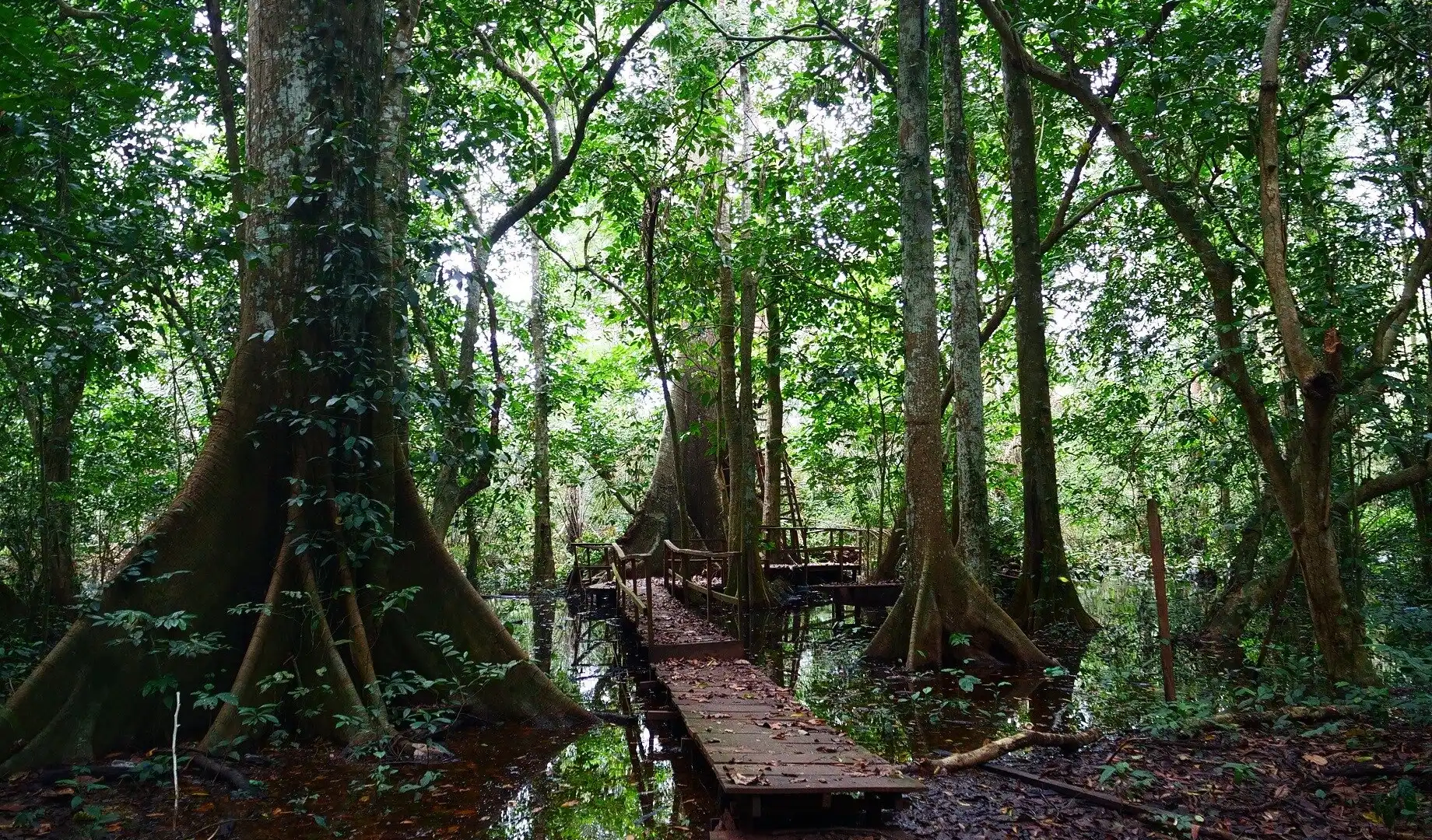 Hotels near Okomu National Park